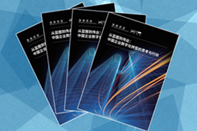 《从蓝图到伟业：中国企业数字化转型的思考与行动》
